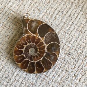 Ammonite Pendant